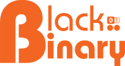 Black Binary Logo